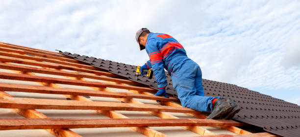 Best Chimney Flashing Repair  in Duncan Falls, OH